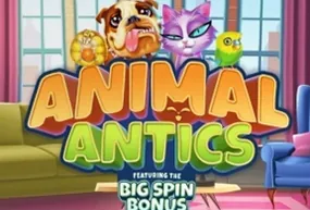 Animal Antics